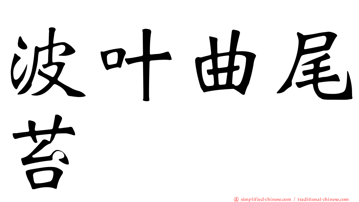 波叶曲尾苔
