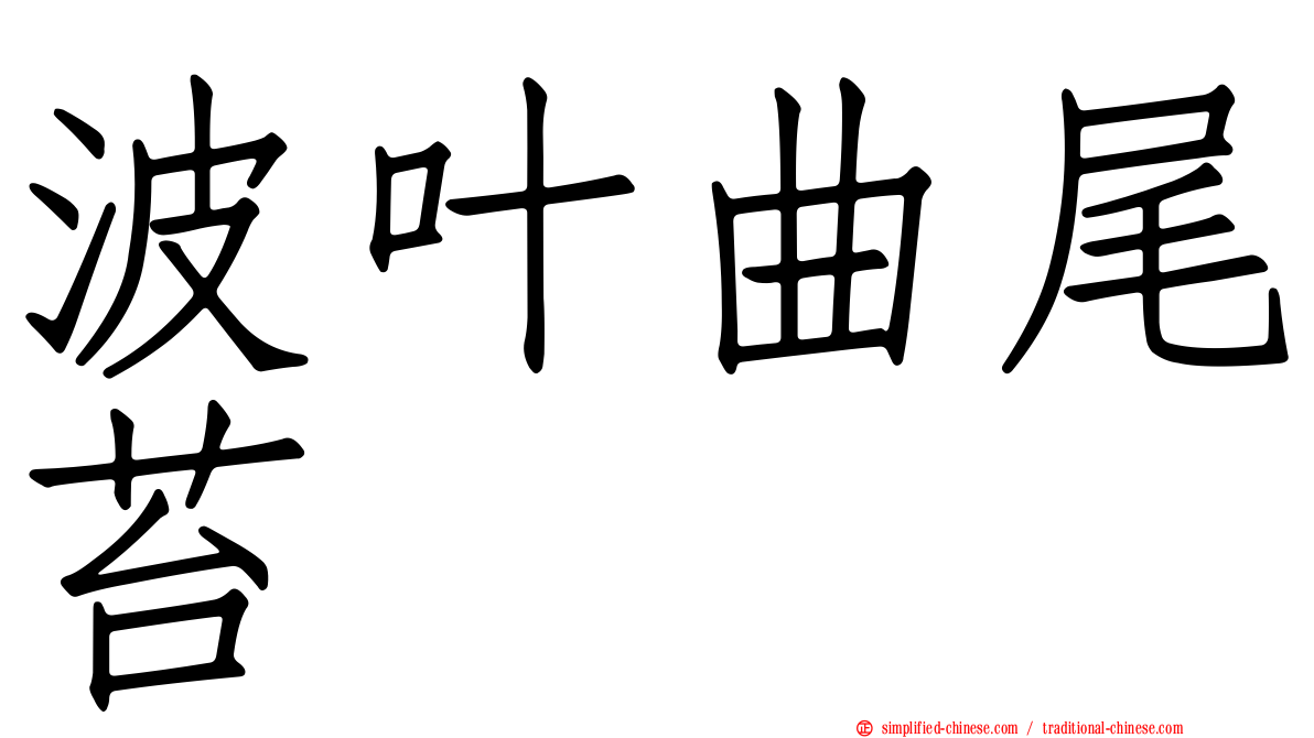 波叶曲尾苔