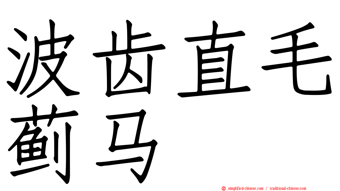 波齿直毛蓟马