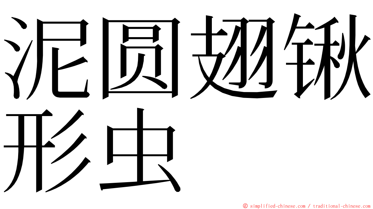 泥圆翅锹形虫 ming font