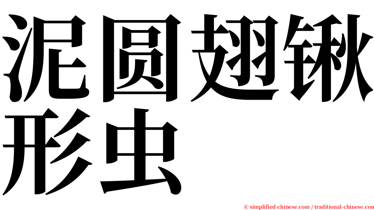 泥圆翅锹形虫 serif font