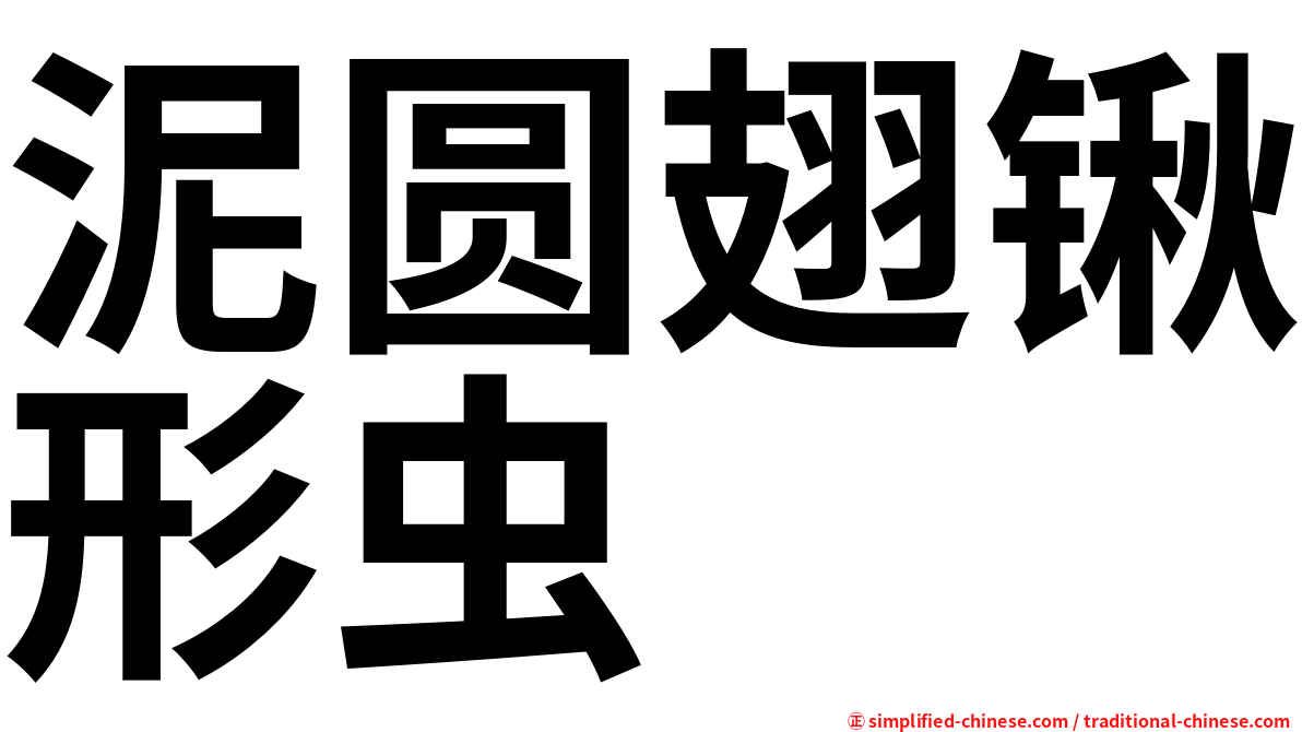 泥圆翅锹形虫