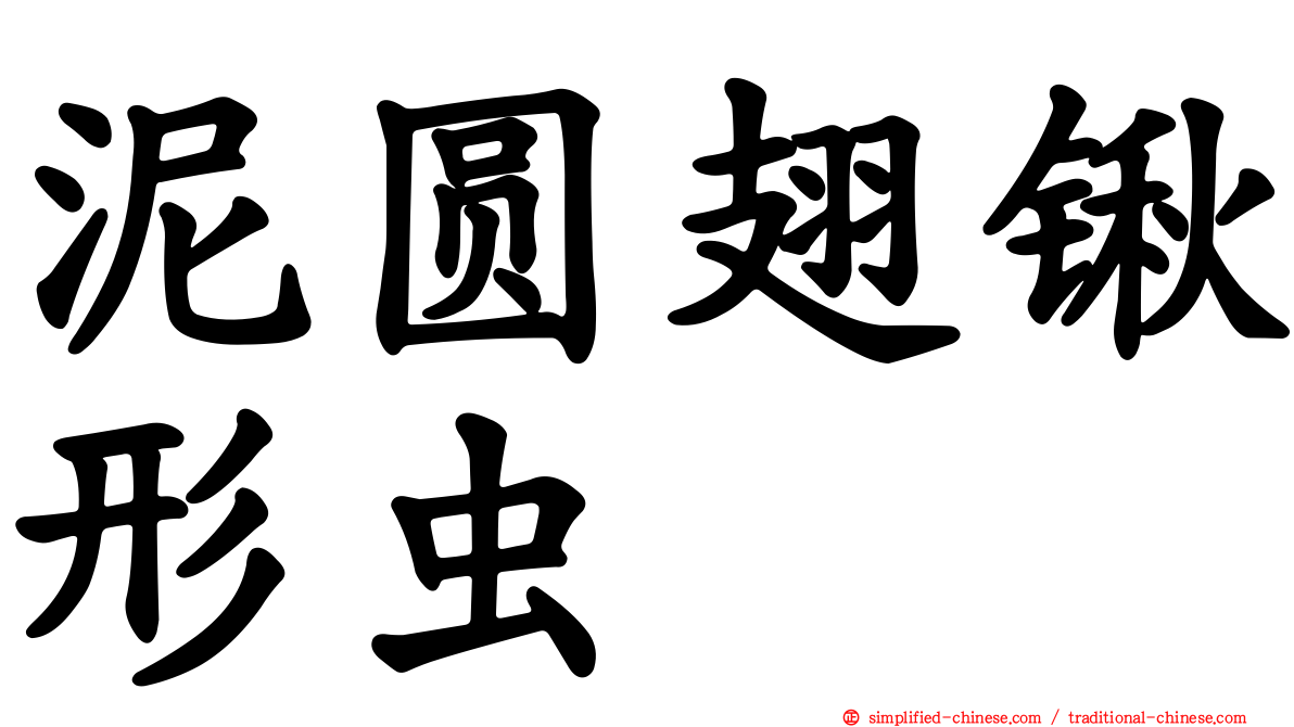 泥圆翅锹形虫