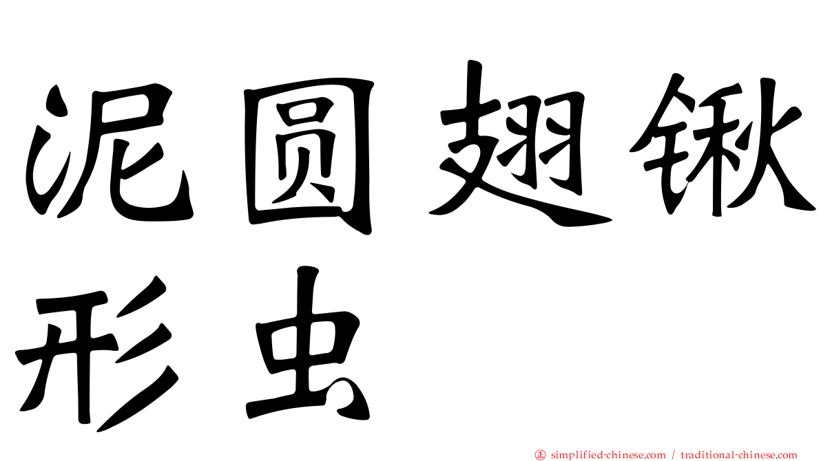 泥圆翅锹形虫