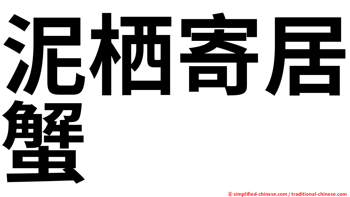 泥栖寄居蟹
