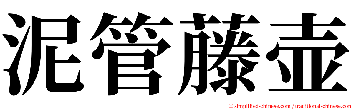 泥管藤壶 serif font
