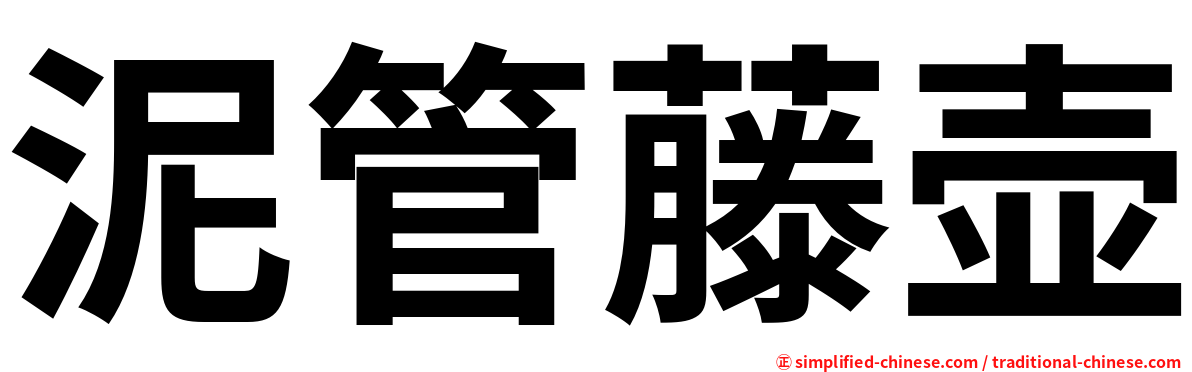 泥管藤壶
