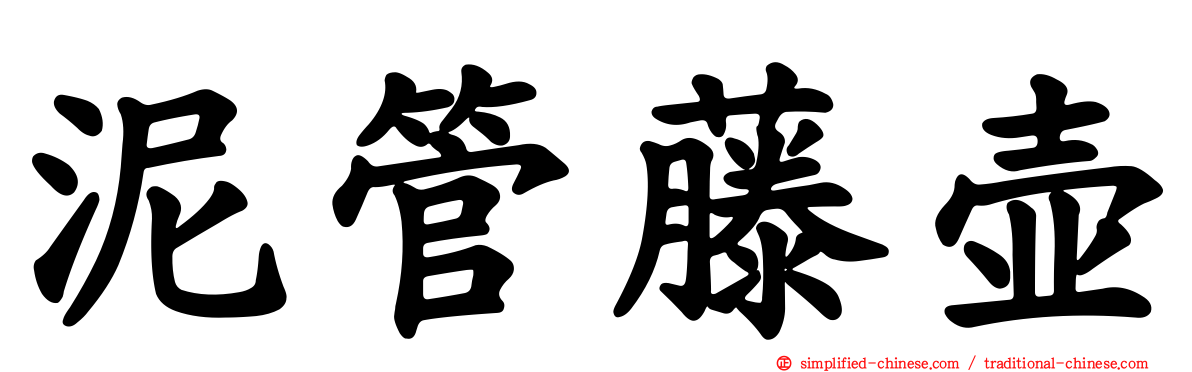 泥管藤壶