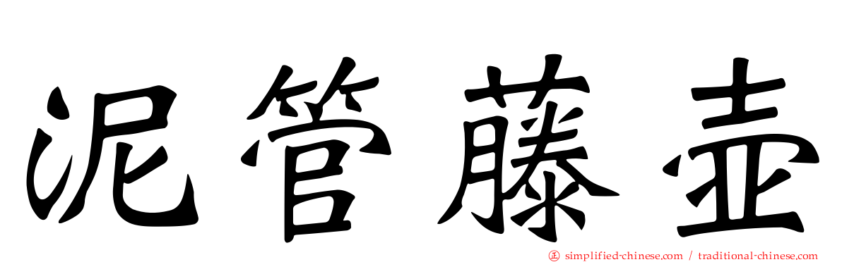 泥管藤壶