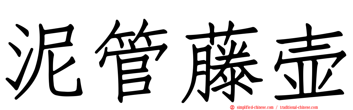 泥管藤壶