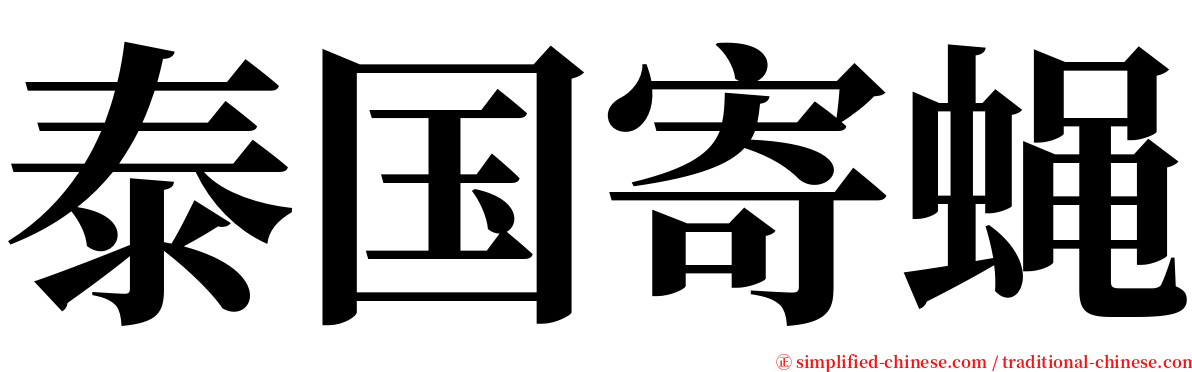 泰国寄蝇 serif font