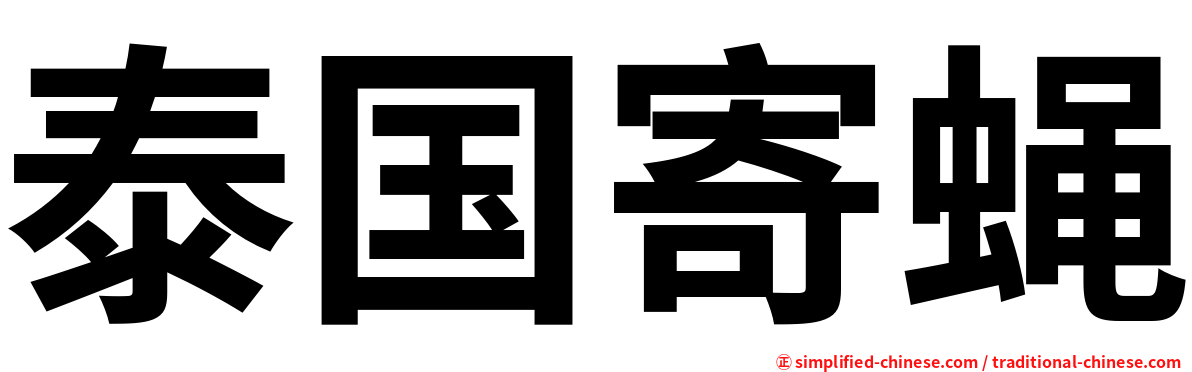泰国寄蝇