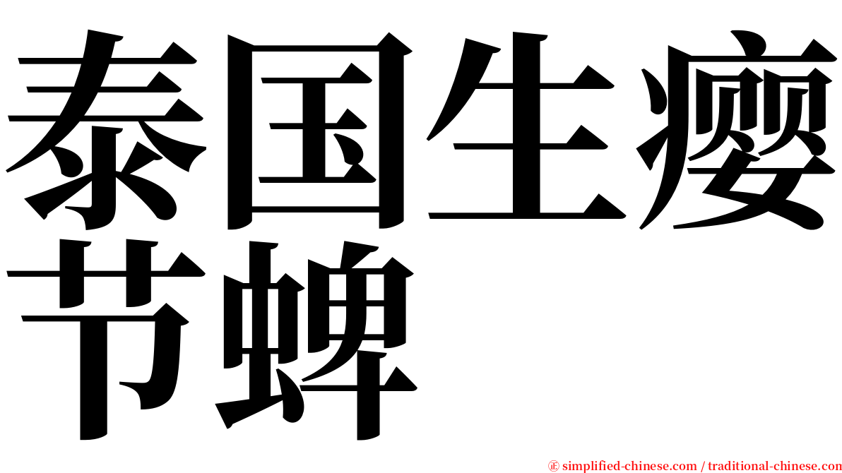 泰国生瘿节蜱 serif font