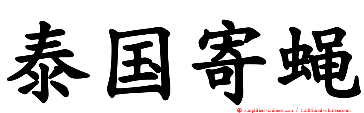 泰国寄蝇