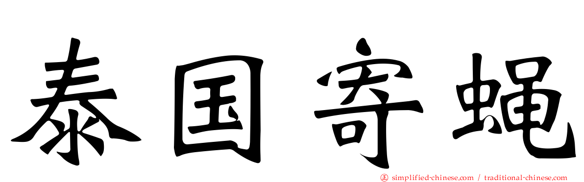 泰国寄蝇