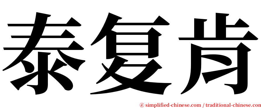 泰复肯 serif font