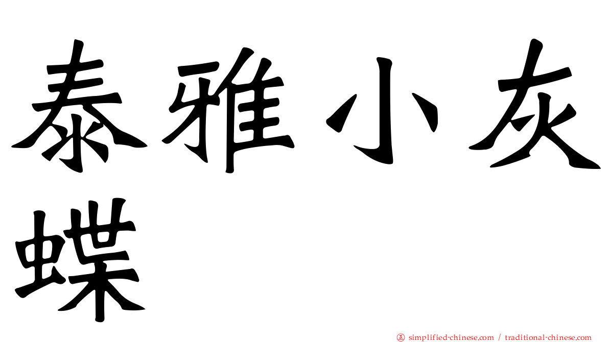 泰雅小灰蝶