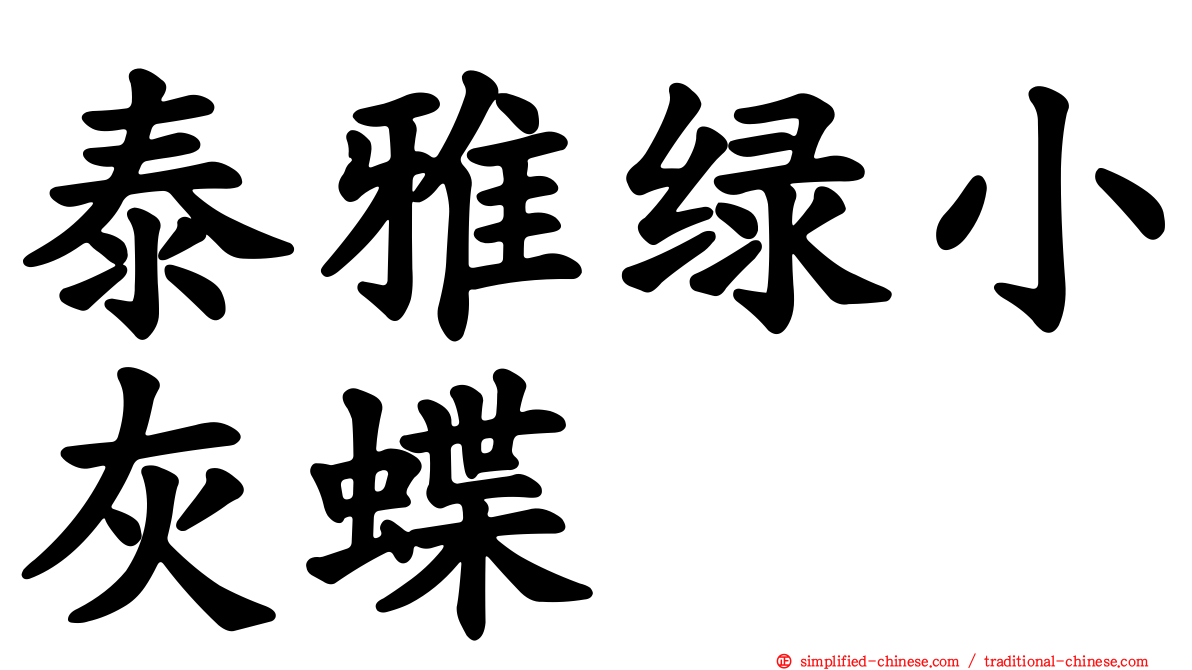 泰雅绿小灰蝶