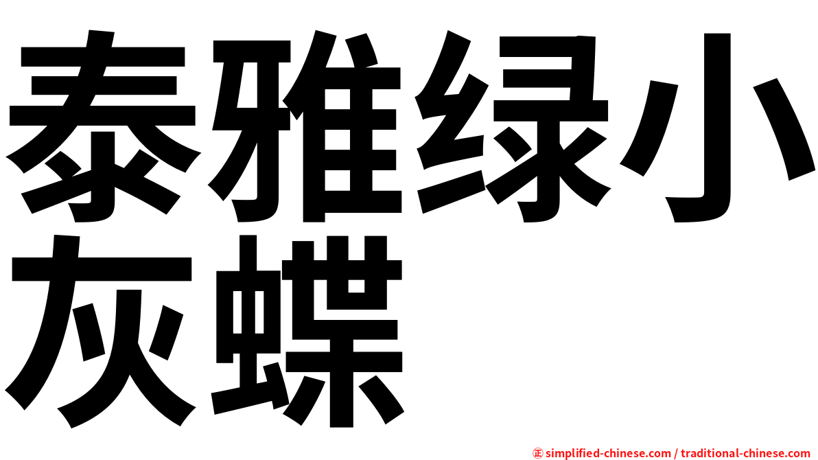 泰雅绿小灰蝶
