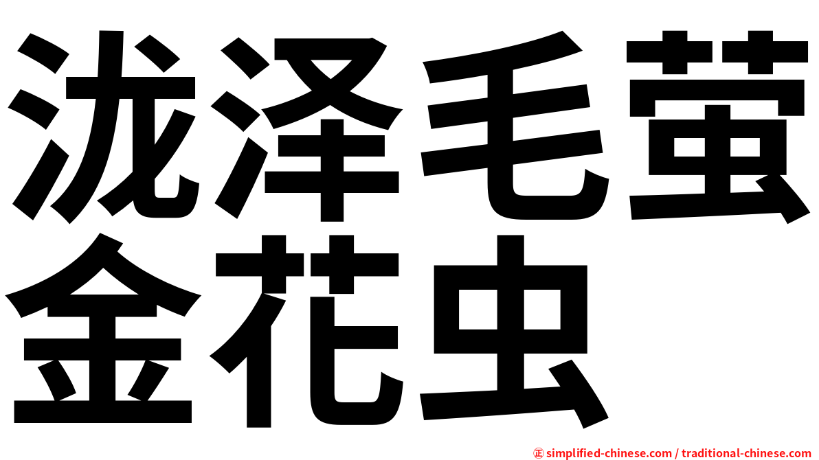 泷泽毛萤金花虫