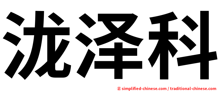 泷泽科