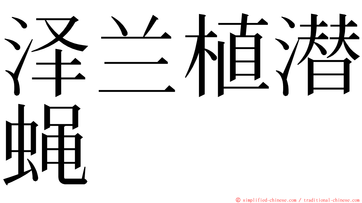 泽兰植潜蝇 ming font