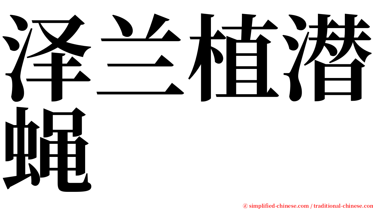 泽兰植潜蝇 serif font