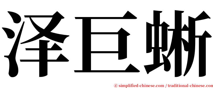 泽巨蜥 serif font