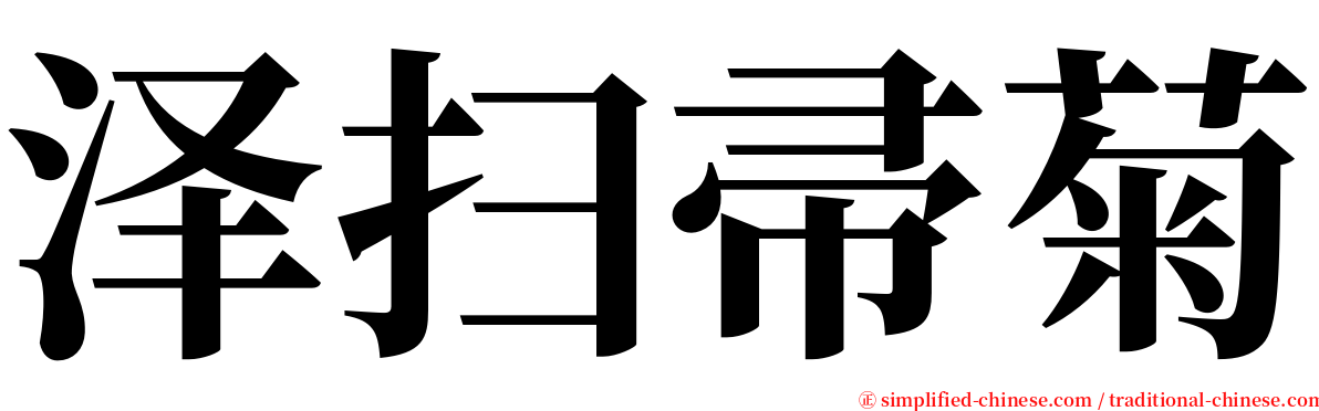 泽扫帚菊 serif font