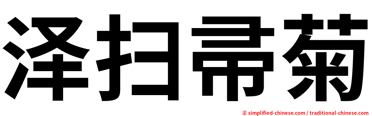 泽扫帚菊
