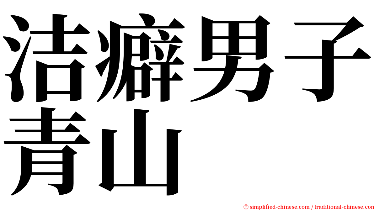 洁癖男子青山 serif font