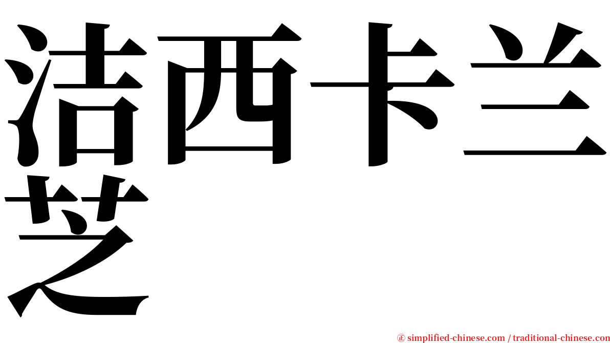 洁西卡兰芝 serif font