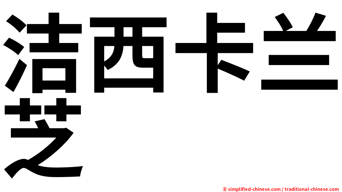 洁西卡兰芝