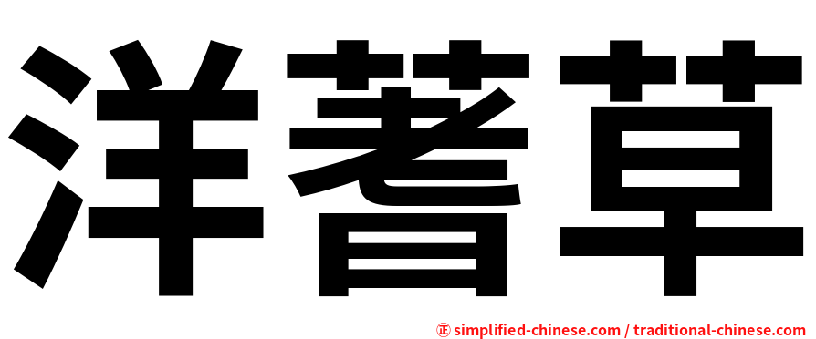 洋蓍草