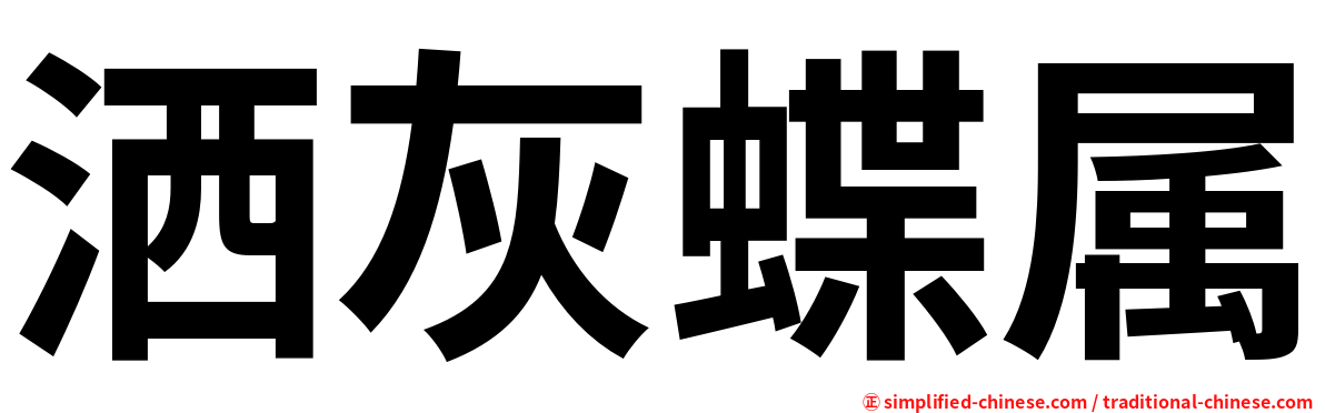 洒灰蝶属