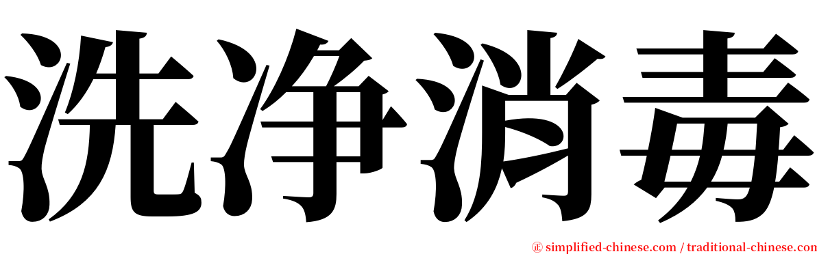 洗净消毒 serif font