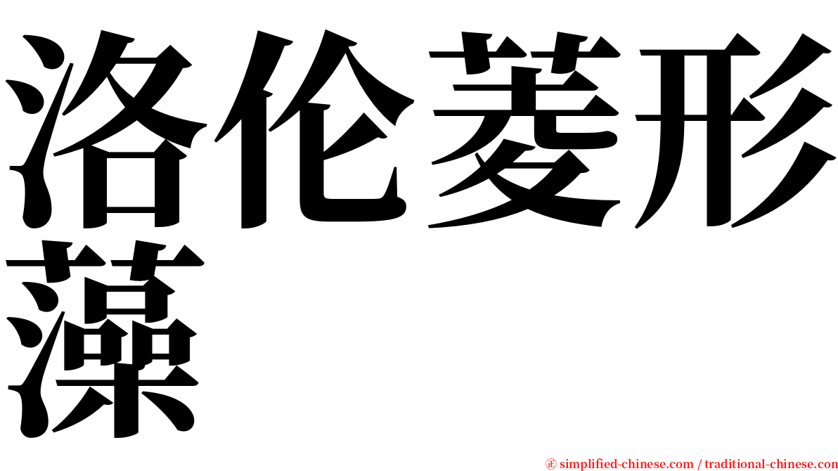 洛伦菱形藻 serif font