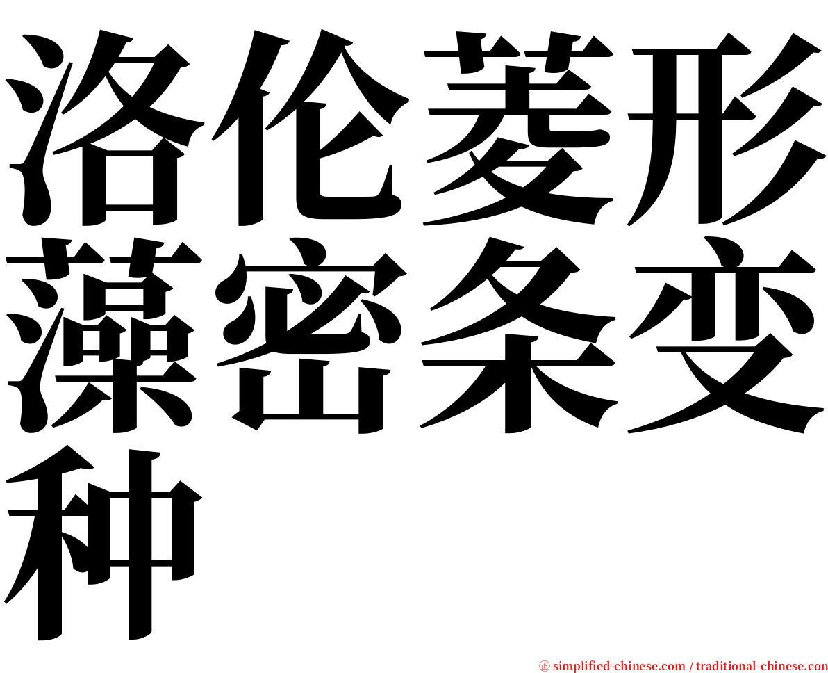 洛伦菱形藻密条变种 serif font