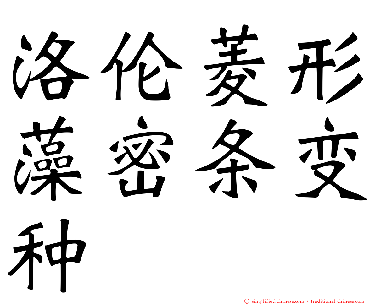 洛伦菱形藻密条变种