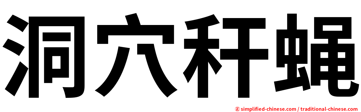 洞穴秆蝇