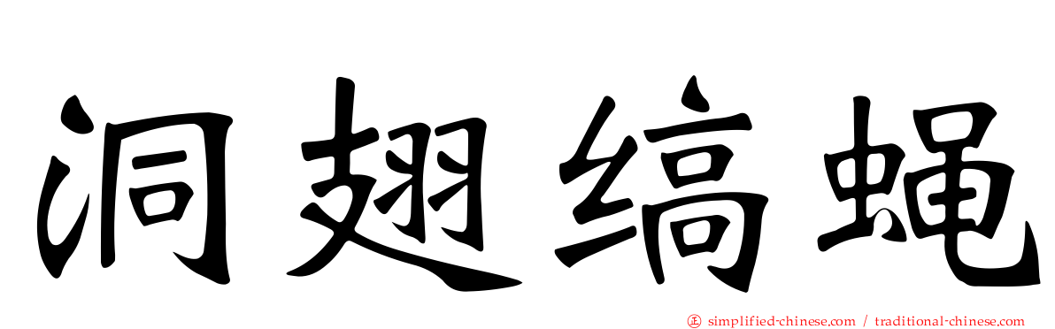 洞翅缟蝇