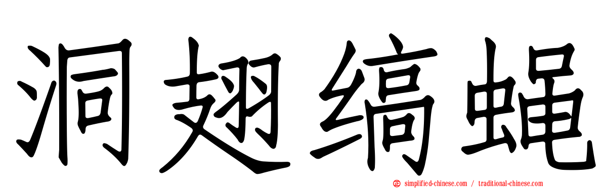 洞翅缟蝇