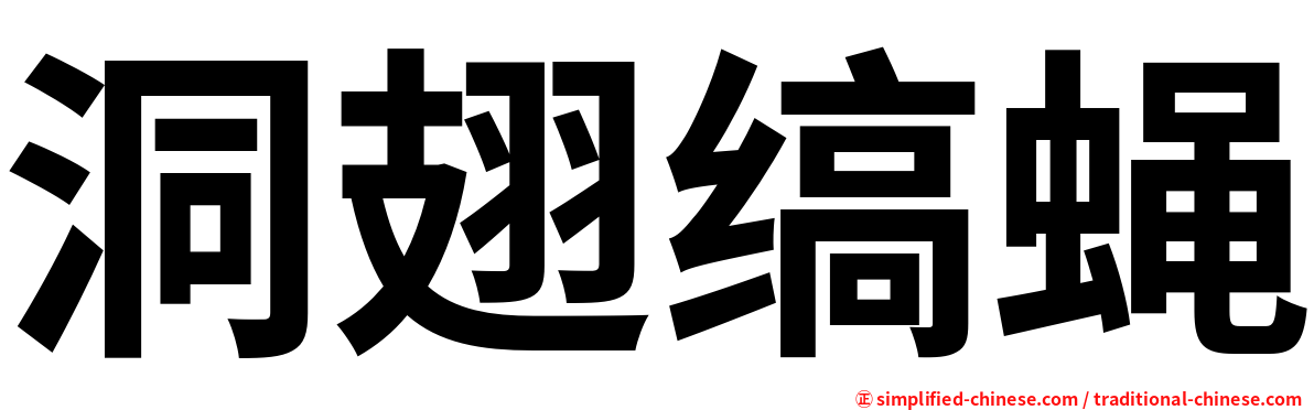 洞翅缟蝇