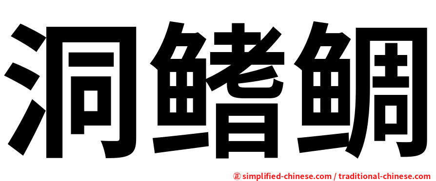 洞鳍鲷