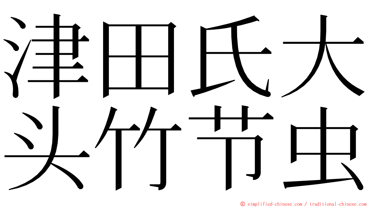 津田氏大头竹节虫 ming font