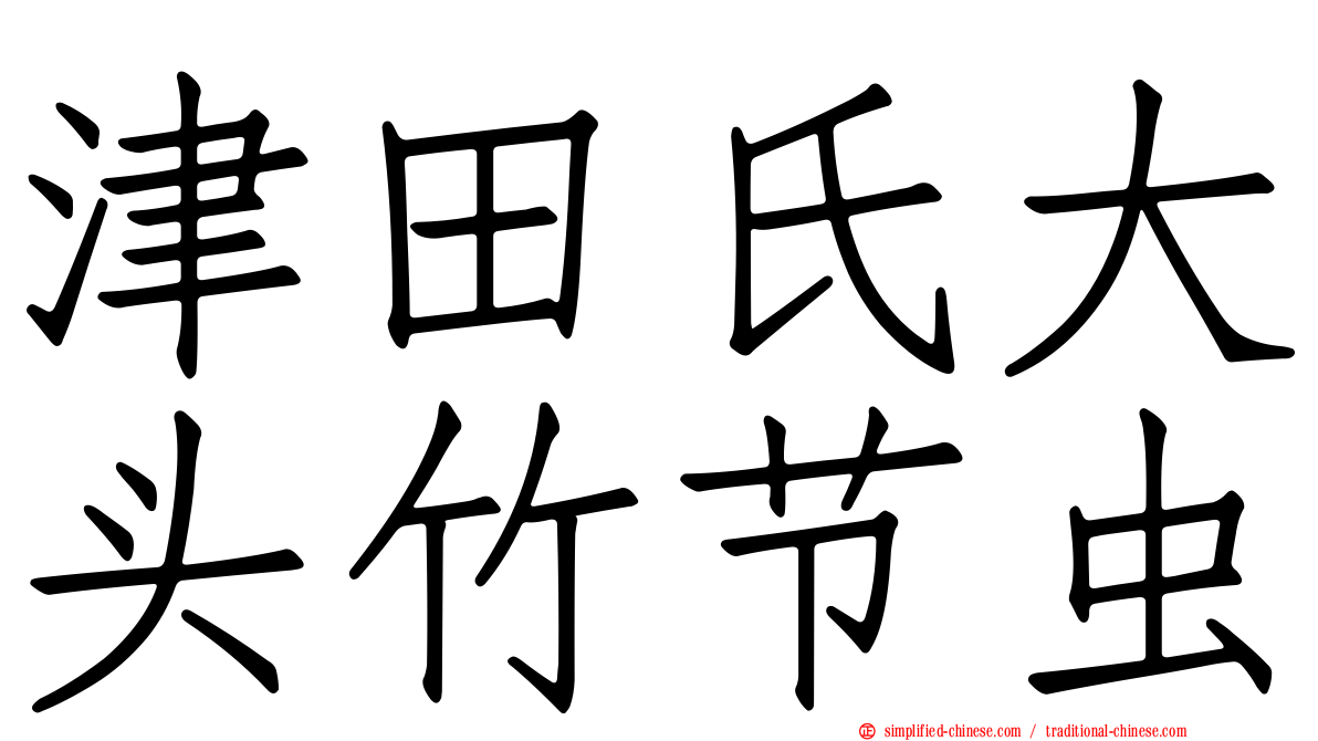津田氏大头竹节虫