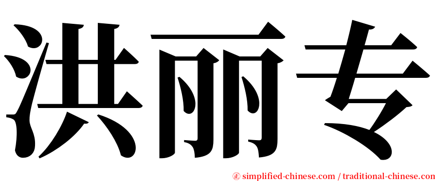 洪丽专 serif font