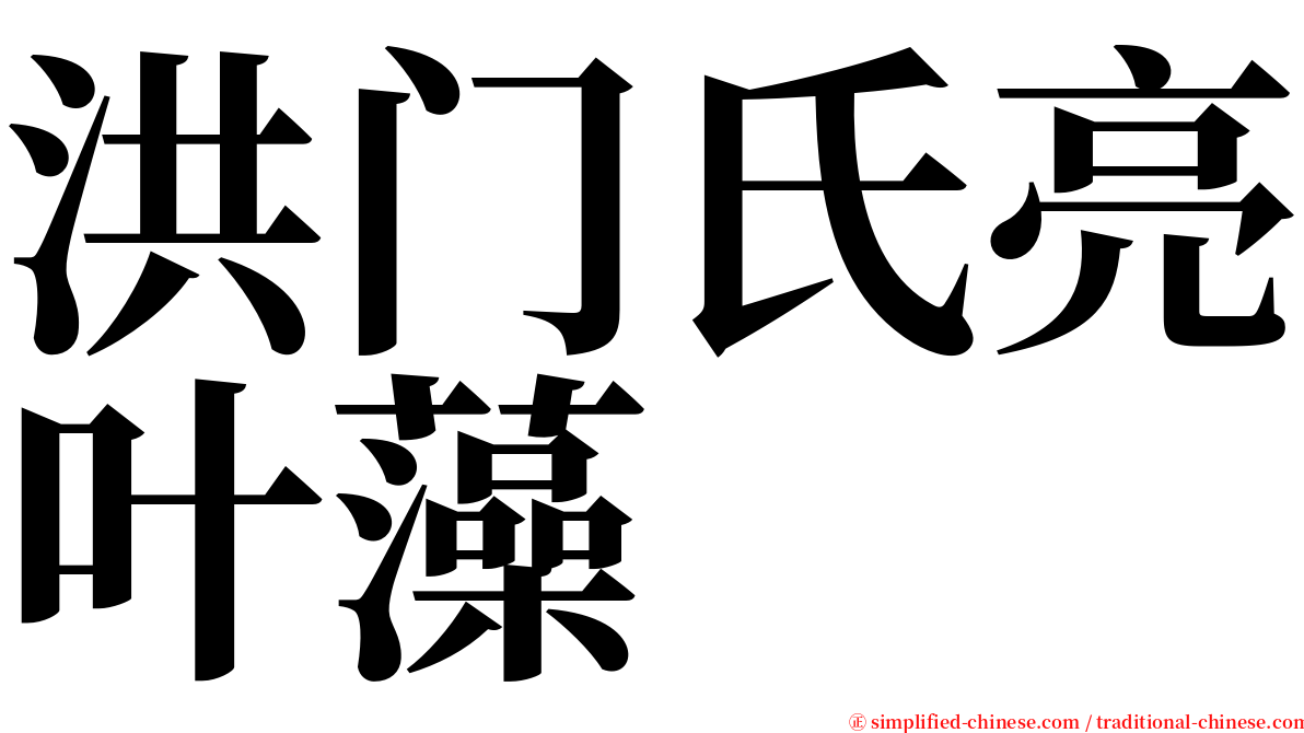 洪门氏亮叶藻 serif font
