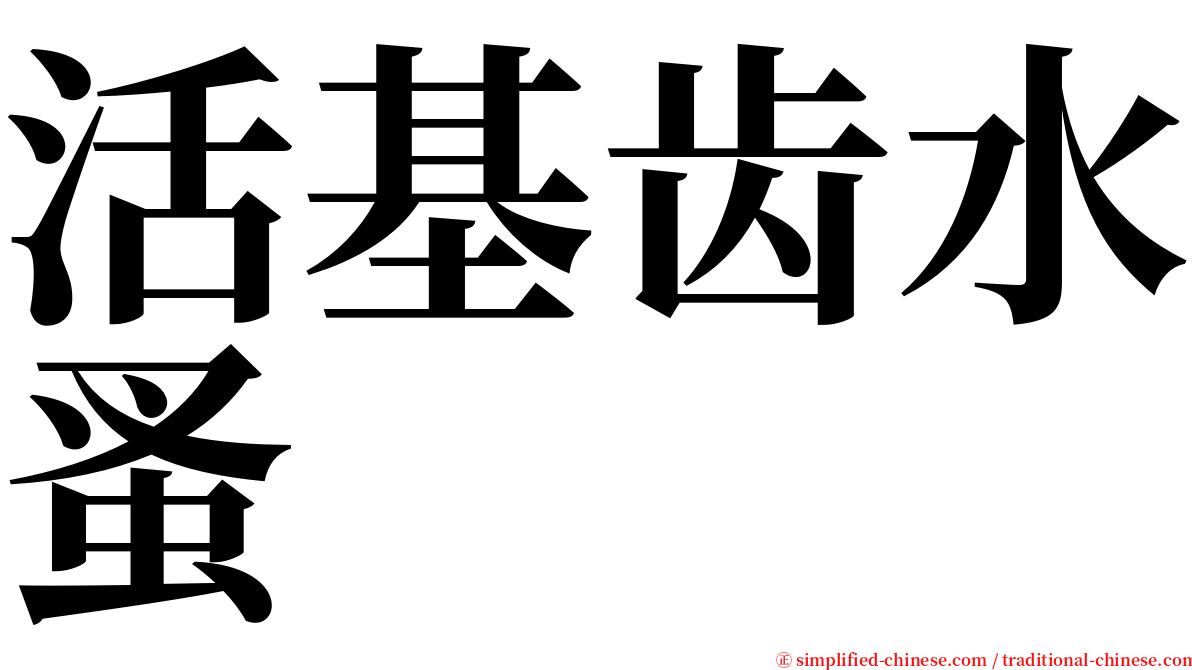 活基齿水蚤 serif font