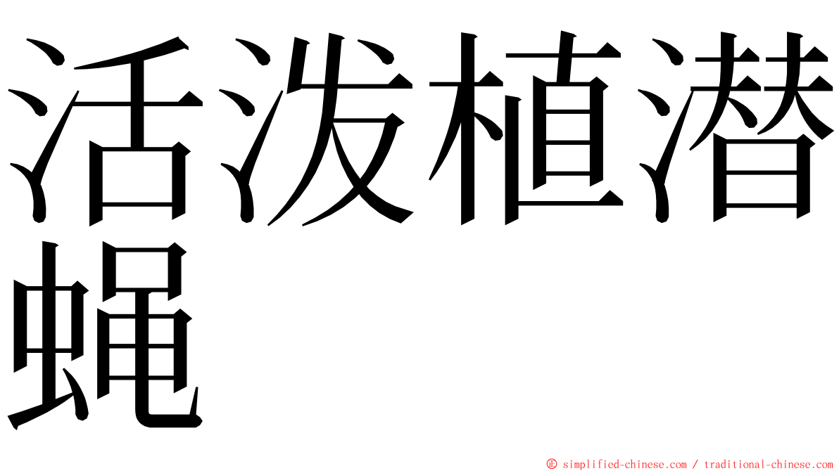 活泼植潜蝇 ming font